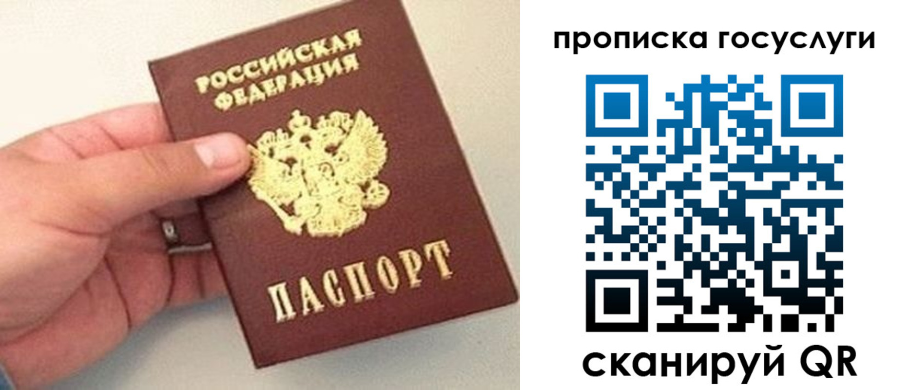 где прописаться в Юрьев-Польском